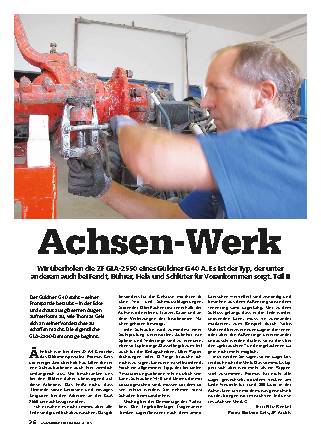 Achse ZF GLA-2550 überholen, Teil 2