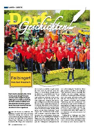 Dorfgeschichten aus Feilbingert (RP)