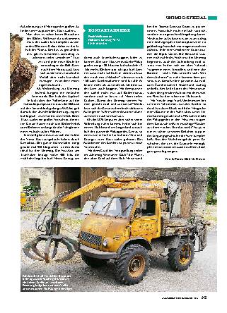 401, U 25 mit Westfalia-Kabine/Klaus-Lader
