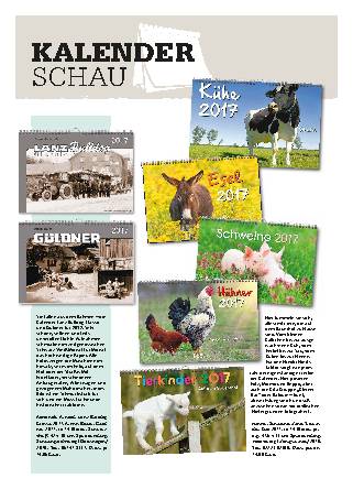 Kalenderschau