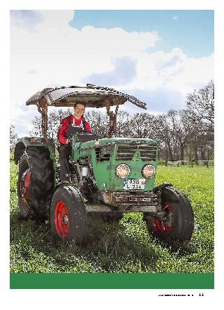 Deutz D 4005 und D 4006