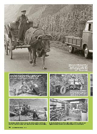 Ernst/Mosel: Die Motorisierung des Weinbaus