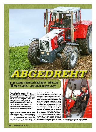 Steyr 8280 Schmidinger