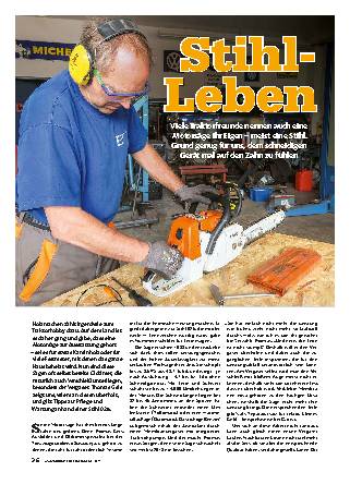 Motorsägen-Membranvergaser überholen, Teil 1
