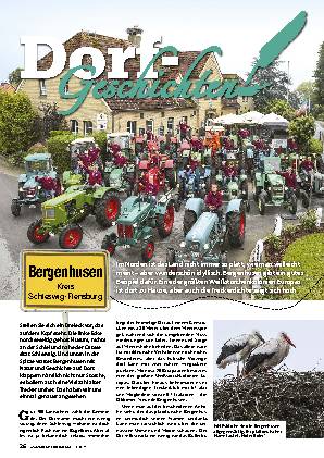 Dorfgeschichten aus Bergenhusen (SH)
