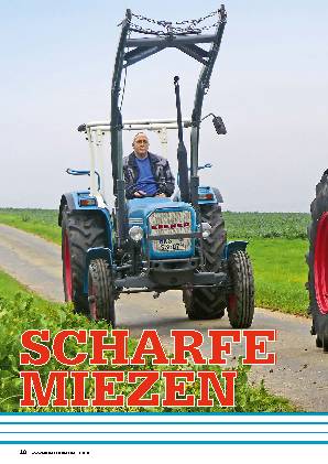 Eicher Königstiger