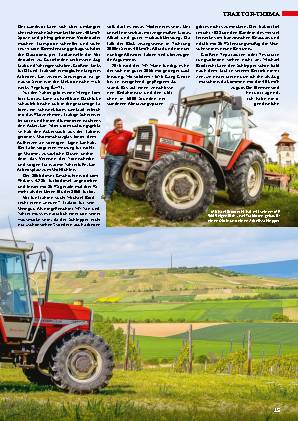 Massey-Ferguson 3065 Allrad (B75/4)