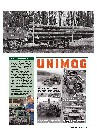Unimog beim Holztransport