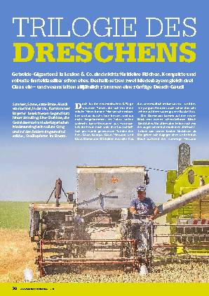 Ernte mit drei Claas-Mähdreschern