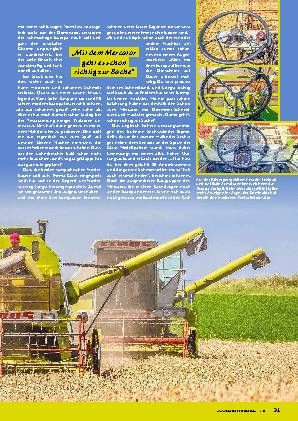 Ernte mit drei Claas-Mähdreschern
