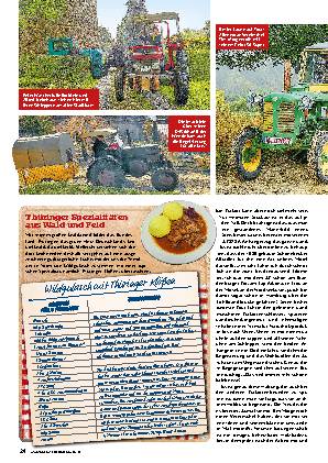 Dorfgeschichten aus Remda (TH)