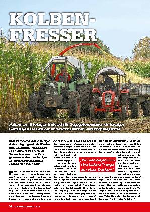 Maisernte mit historischer Erntetechnik